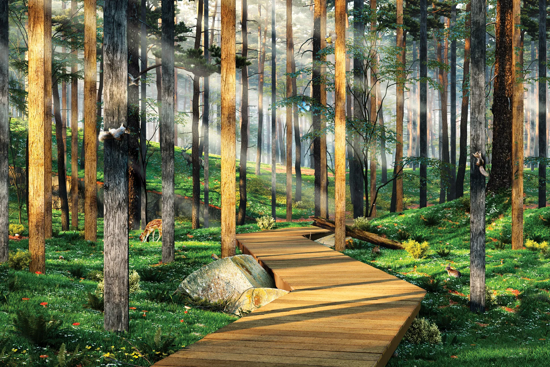 Millboard decking blending into a woodland setting